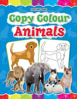 Copy Colour Domestic Animals